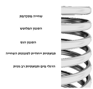 מודל הגישה הסלילית בלימוד השחייה